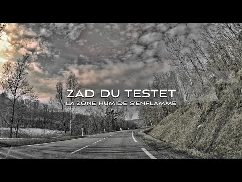 Vidéo